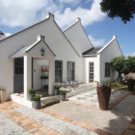 Hotel The Lily House Hermanus Exterior foto